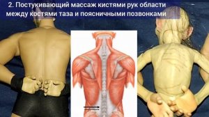 Хотите оживить поясницу, крестец, мышцы тазового дна? Упражнения для грудопоясничной фасции