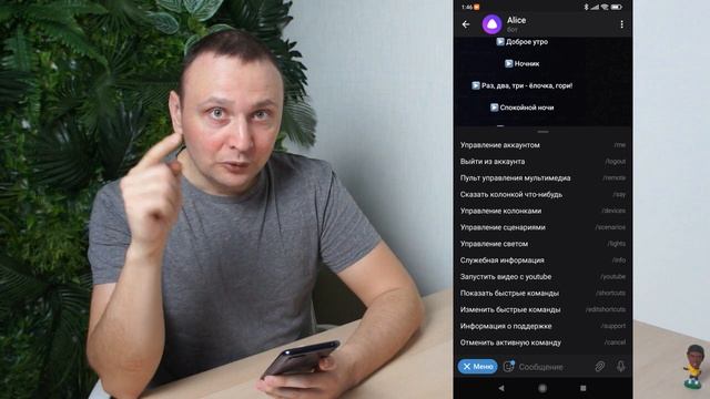 Управляем Яндекс.Станцией и умным домом через Телеграм. Алиса в телеграме!