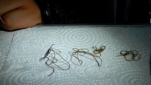 Червь паразит смотреть онлайн