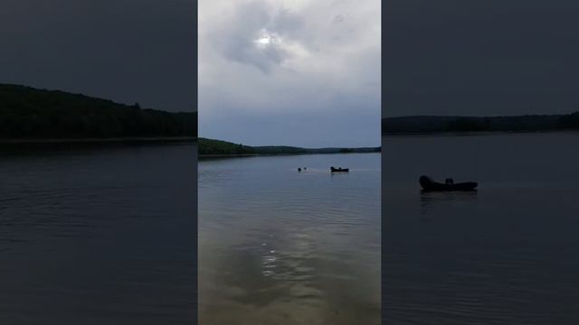 Русские черный терьер учиться спасать