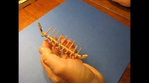 The beginning of the assembly of the boat #30 Galleon San Bartolome "Ships of P. Nikitin" Ship mode