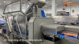 Автоматическая машина для нарезки ломтиками SliceFil-650 + 3D-сканер | Automatic Slicer SliceFil-650