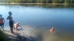 Северский донец, пионерская поляна, пгт. Донец