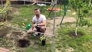 Как виноград правильно посадить у себя во дворе