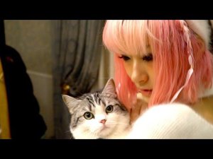 Японка Юри позвала в отель! Нежная киса