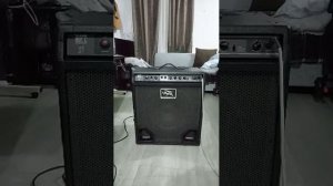 Peavey Max115 Bass Combo Bass amp Sound sample/Demo x Ibanez SR300 bass guitar