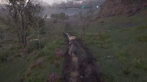 Прохождение Assassin’s Creed Valhalla Гнев друидов – Часть 14. Дети Дану, Олень