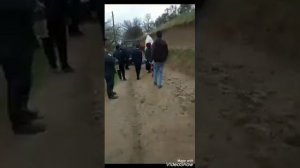 Туй дар точикистон