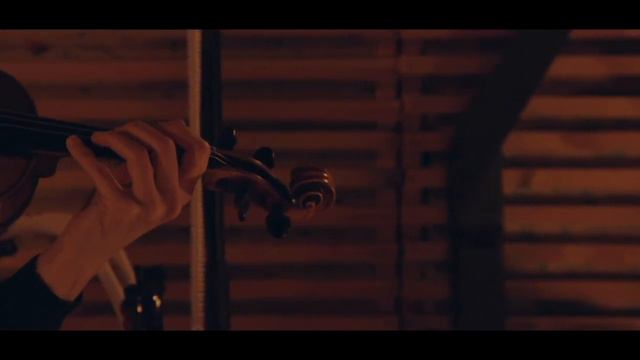 ‘Disco Phacelia’ - Ceci n’est pas un violon смотреть онлайн