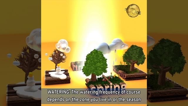 10 TRICKS TO GROW LOTS OF LEMONS | HOW TO GROW LEMON TREE IN POT | CITRUS TREE CARE смотреть онлайн