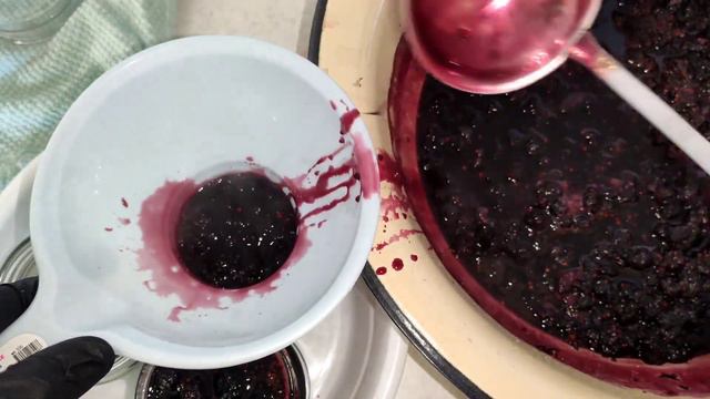 Варенье из Шелковицы 😋 Mulberry jam😋 смотреть онлайн