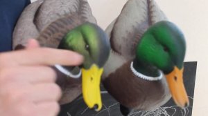 #GreenHead XD and #Avian-X Mallard Duck