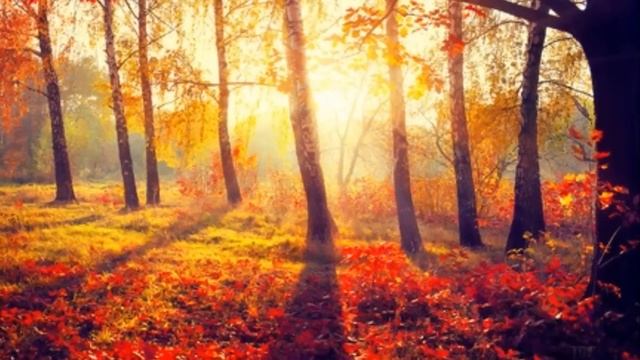 New Age Music: instrumental guitar music; new age guitar music, Acoustic guitar; Musica New Age