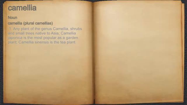 What does camellia mean? смотреть онлайн