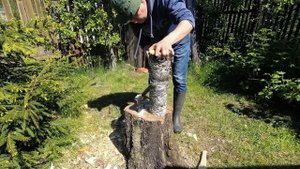 Тест топоров ПетроградЪ Рославль V и Fiskars X5.