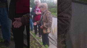 Марианна Успенская о сеянцах пионов