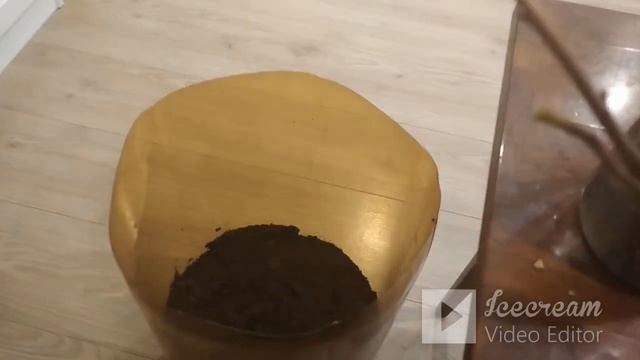 Результат зимнего черенкования смородины. Обзор спиреи. смотреть онлайн