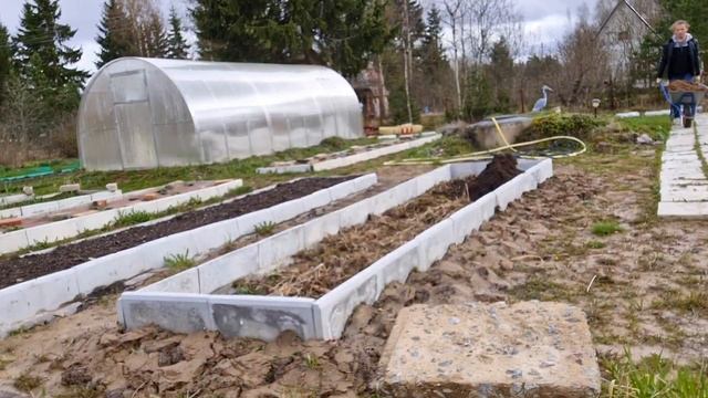 ПОДГОТОВКА грядки ДЛЯ кабачков | БЕТОННЫЕ БОРДЮРЫ ДЛЯ КЛУМБЫ | пересадка ФЛОКСА смотреть онлайн