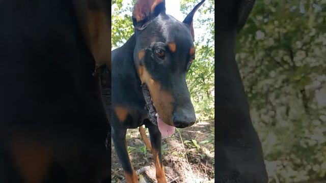 19 сентября 2023 г. смотреть онлайн