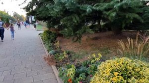 На Ласточке из Дагомыса в Сочи и обратно.