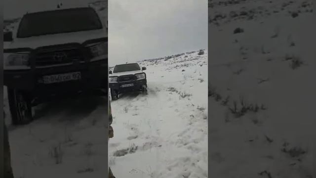 Задержание браконьеров с тушами джейранов! Жетысуйская область, Уштөбе. Охотзоопром. смотреть онлайн