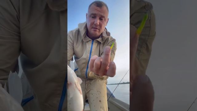 Ловлю судака на колхозницу в Астраханской области, село Вышка. смотреть онлайн