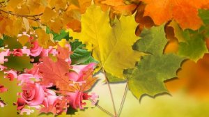 С Днем воспитателя и дошкольного работника!