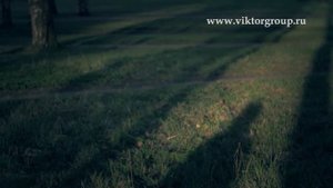 Группа "Виктор" - Печаль (В. Цой)