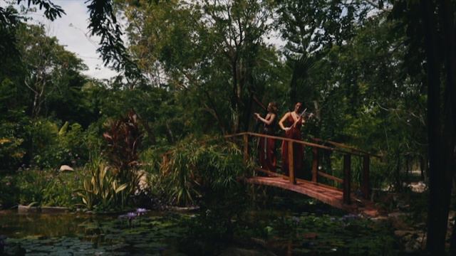 Song from a Secret Garden Electric Violin and Harp cover - Musa