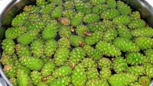 Варенье из еловых шишек