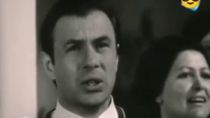 Володимир Турець Качки летять