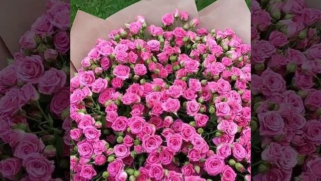 БУКЕТ 101 КУСТОВАЯ РОЗА - РОЗЫ СПРЕЙ - КУПИТЬ РОЗОВЫЕ РОЗЫ ДНЕПР