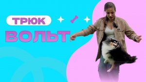 ТРЮК ВОЛЬТ, ТОЛЧОК ОТ СТЕНЫ