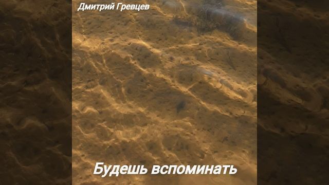 Дмитрий Гревцев - Будешь вспоминать