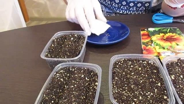 Сею семена методом промораживания.Чем отличается промораживание от стратификации.09.02.2019