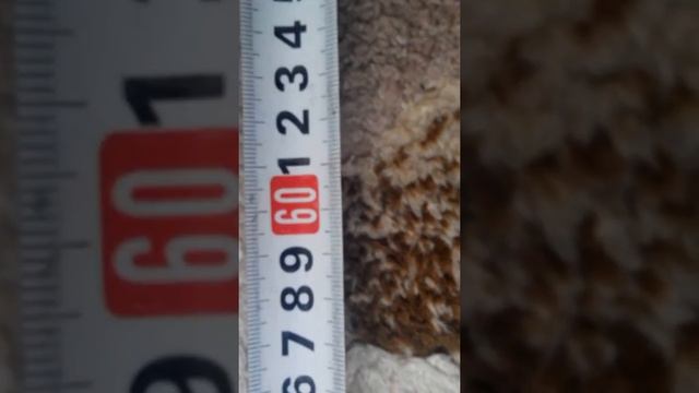 тестирование подавителя,собранного по схеме Канонир смотреть онлайн