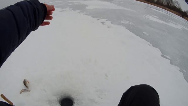 ЛУЧШАЯ БЛЕСНА НА ПАССИВНОГО ОКУНЯ// ЭТА БЛЕСНА СПАСЛА РЫБАЛКУ! смотреть онлайн