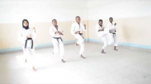 SERENGETI SHOTOKAN KARATE CLUB - UBUNGO BRANCH ON TRAINING