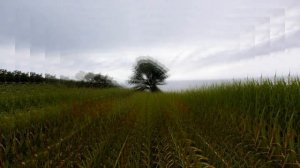 БУХТА ТРИ ПОРОСЁНКА-ВЛАДИВОСТОК