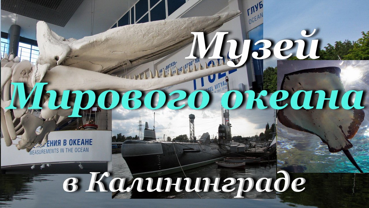 Калининград - Музей Мирового океана на реке Преголя