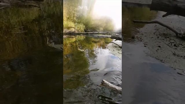 Сплав. Исток Усы. Малячкино - Муранка. смотреть онлайн