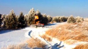 СНЕГОХОД Гигант Арктика 1500