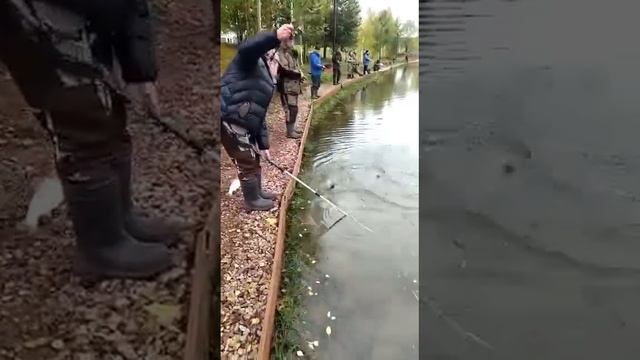 Рыбалка на форель. Рыбалка в Подмосковье. Платная рыбалка / Рыбалка в ДУРЫКИНО