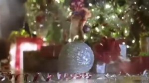 Новогодняя песня с белками!!!!! Всех с Новым Годом!!!!!!!!????????