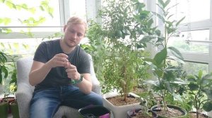 Выращивание экзотических растений в горшках с системой автополива