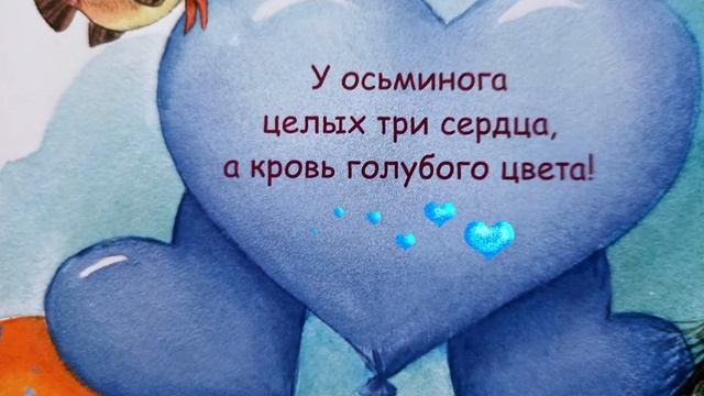 Ксения Валаханович «Если мама — осьминожка, если папа — осьминог…» смотреть онлайн