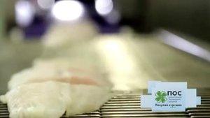 Слайсер порционер весовой нарезки рыбы, мяса или птицы (курицы) на равные по весу или толщине куски
