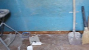 Утро 44/1-е. Выращивание бройлеров росс 308, 708. Суточные цыплята бройлеров.