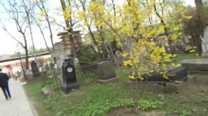 Донской монастырь экскурсия