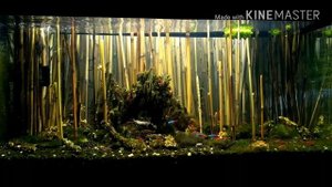 Освещение аквариума своими руками / Aquarium lighting